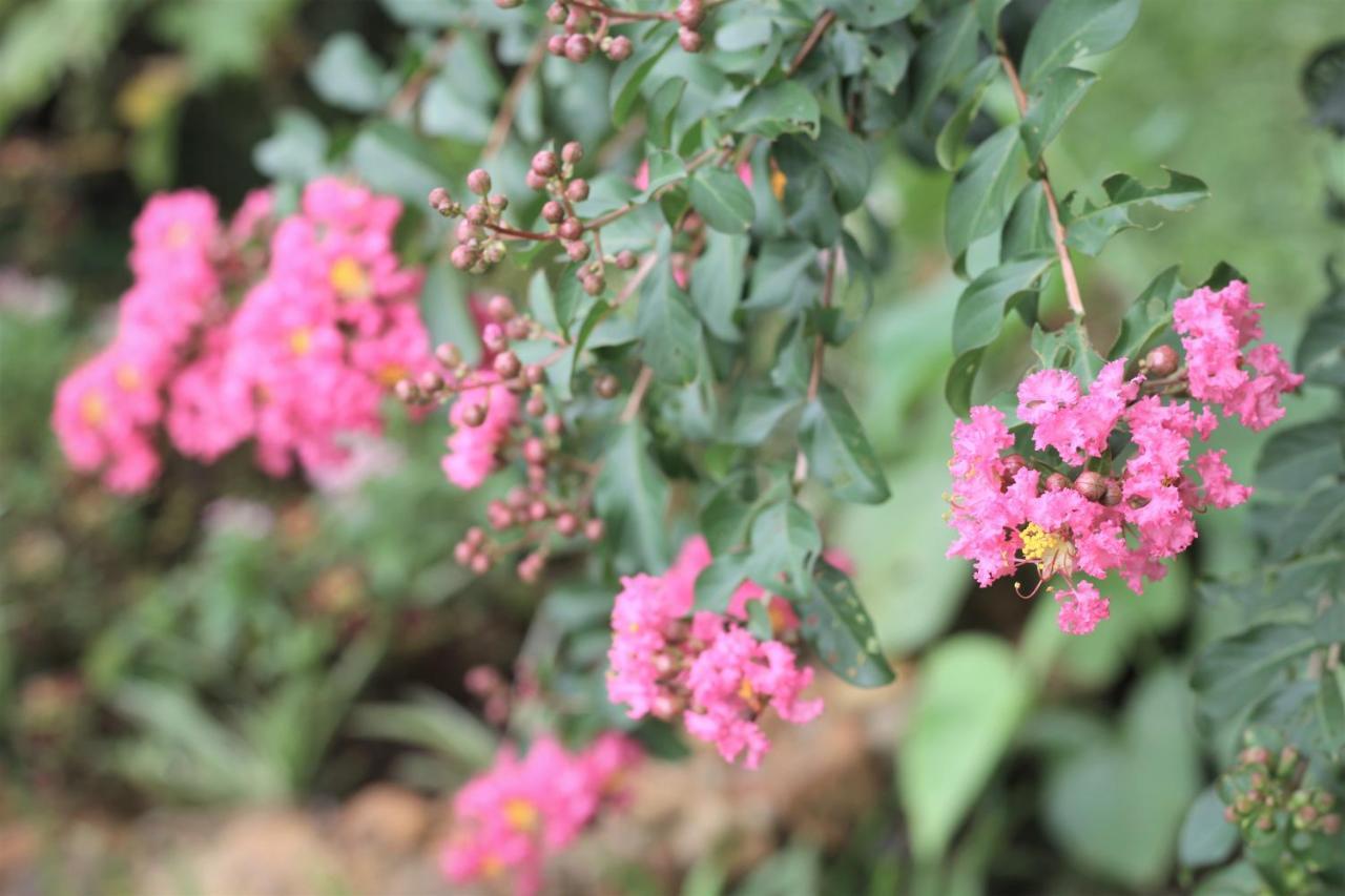 Pu Luong Treehouseヴィラ エクステリア 写真